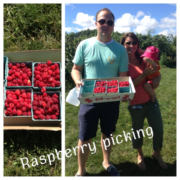 Raspberry picking at Wasem Fruit Farm.